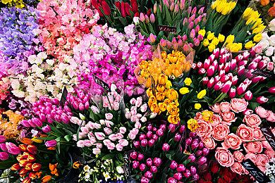 《双影奇境》投入巨大 预算是《双人成行》的两倍